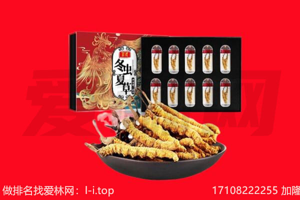 德江县回收虫草.jpg